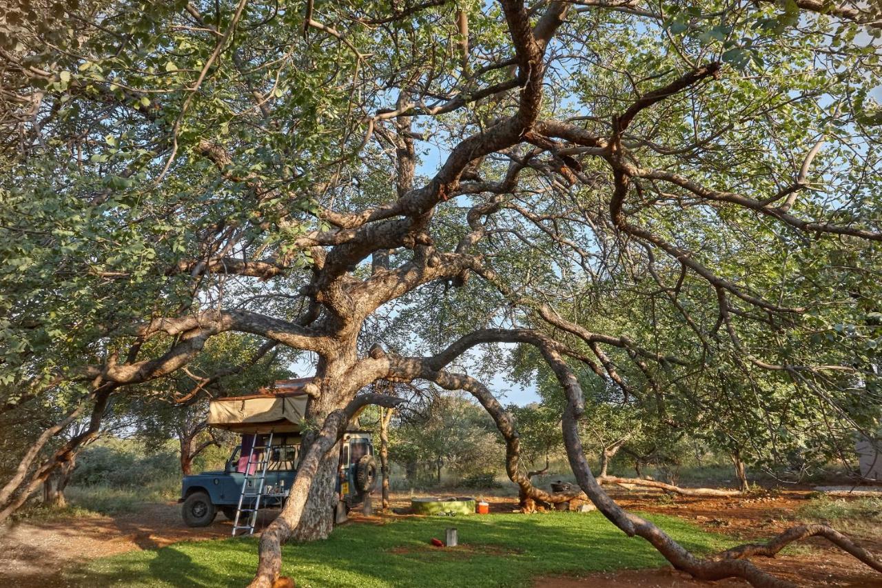 Zuricamp - Campsite Halishi Tsumeb Buitenkant foto