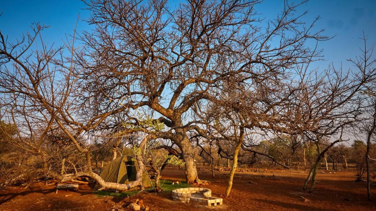 Zuricamp - Campsite Halishi Tsumeb Buitenkant foto